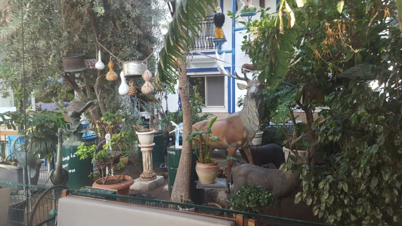 Gartenanlage Hotel Istankoy