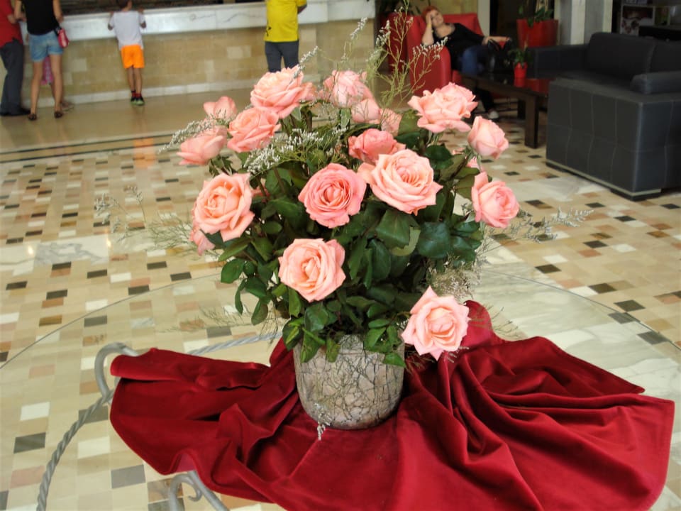 Sonstiges TUI MAGIC LIFE Penelope Beach