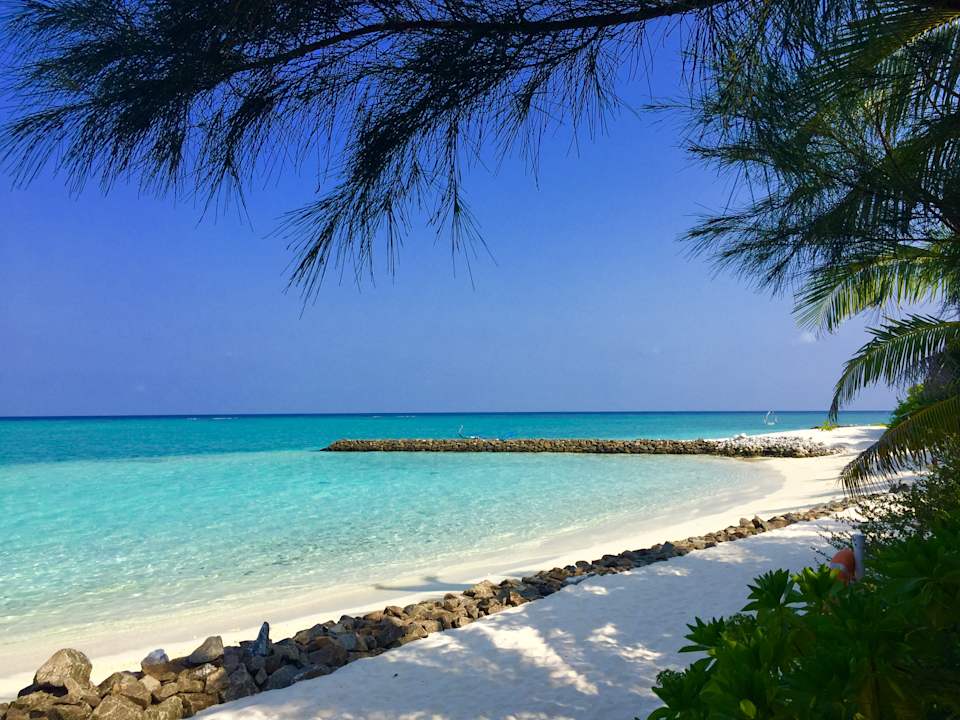 Strand Summer Island Maldives