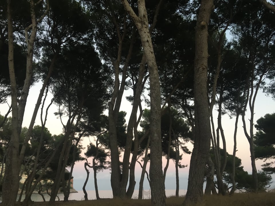 Strand Universal Hotel Castell Royal