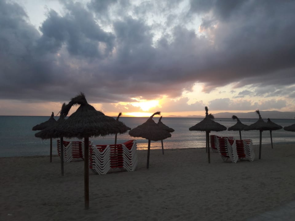 Strand HSM Reina del Mar