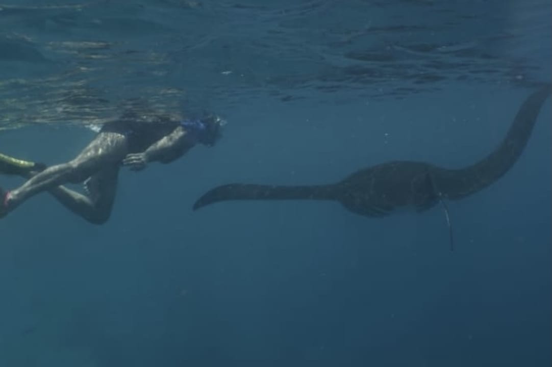 Sport & Freizeit Sun Siyam Olhuveli