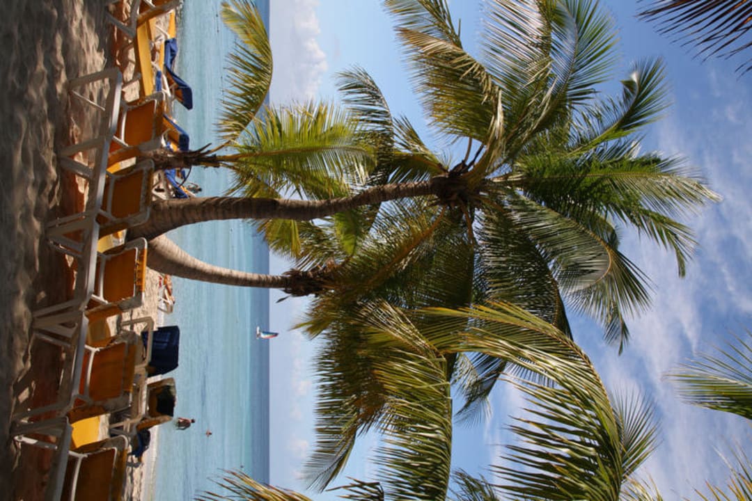 Palmenstrand Hotel Viva Dominicus Palace by Wyndham-All Inclusive Resort