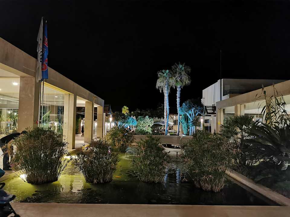 Gartenanlage allsun Hotel Eden Playa