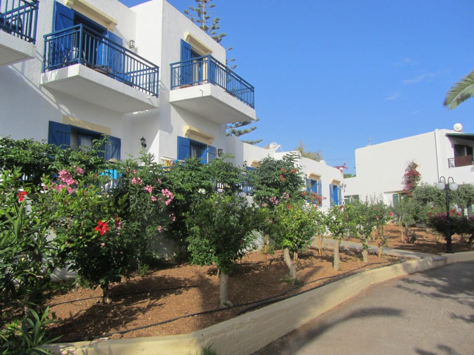 Hotel Chrissi Amoudia TUI SUNEO Chrissi Amoudia