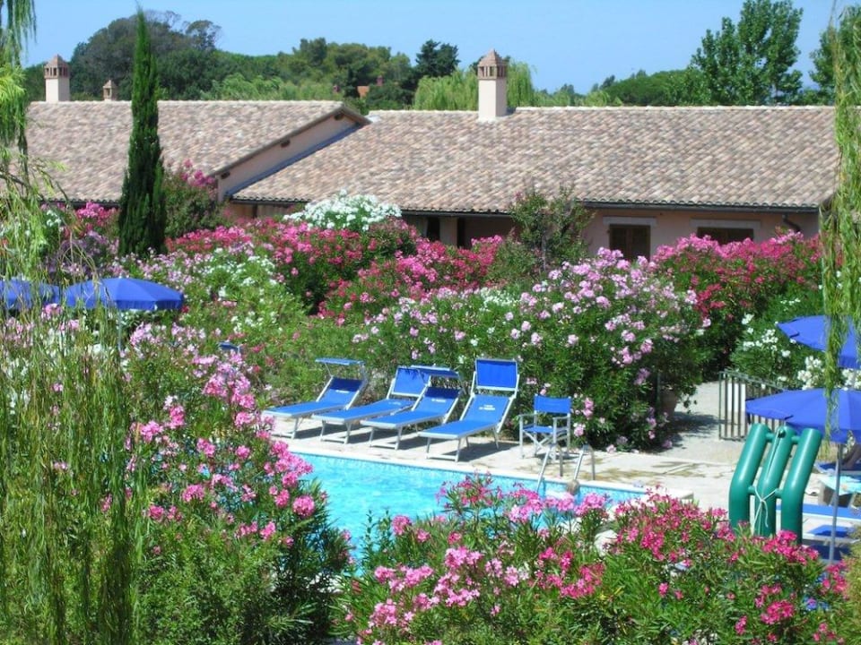 Esterno con giardino e piscina Hotel Agriturismo l Salici del Pingrosso