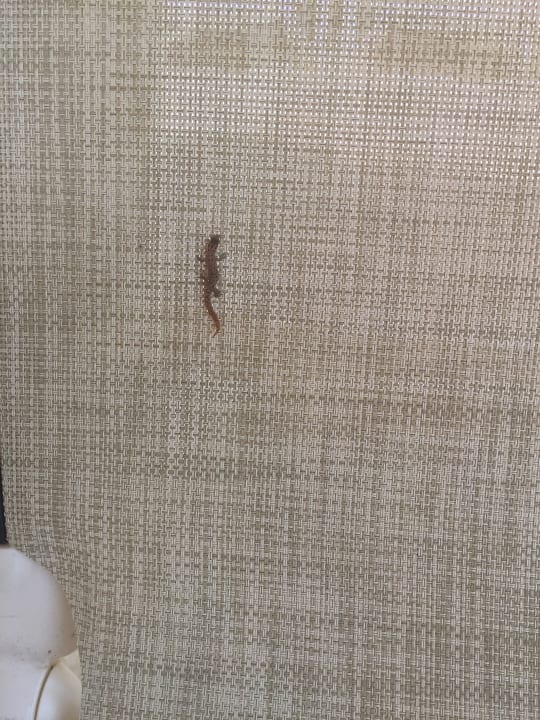 Sonstiges Bahia Principe Grand Aquamarine