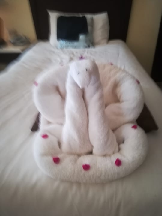 Zimmer Casa Mare Resort