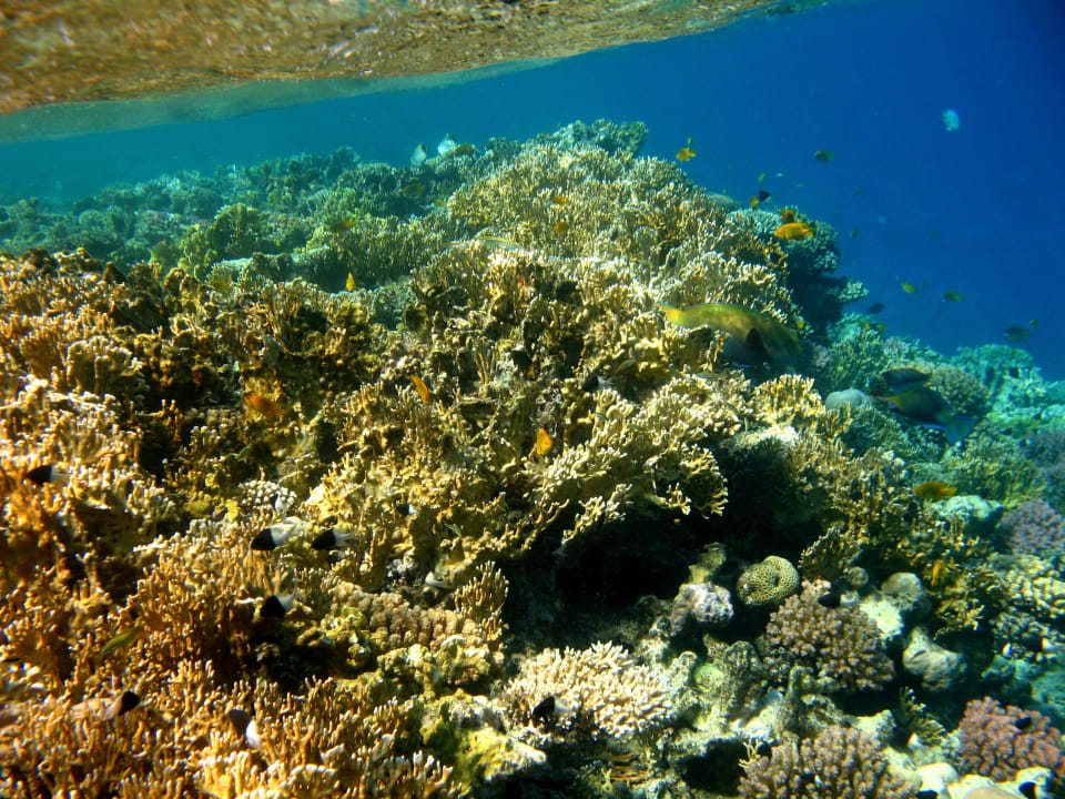 6 Stella Beach Resort & Spa Makadi Bay