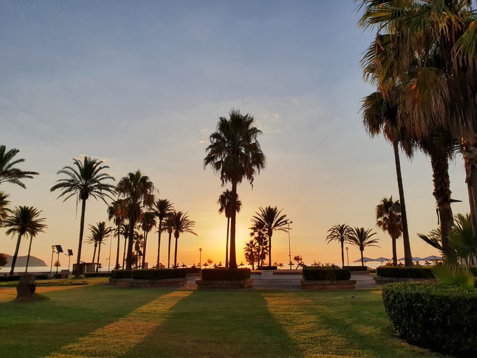 Gartenanlage Hipotels Cala Millor Park