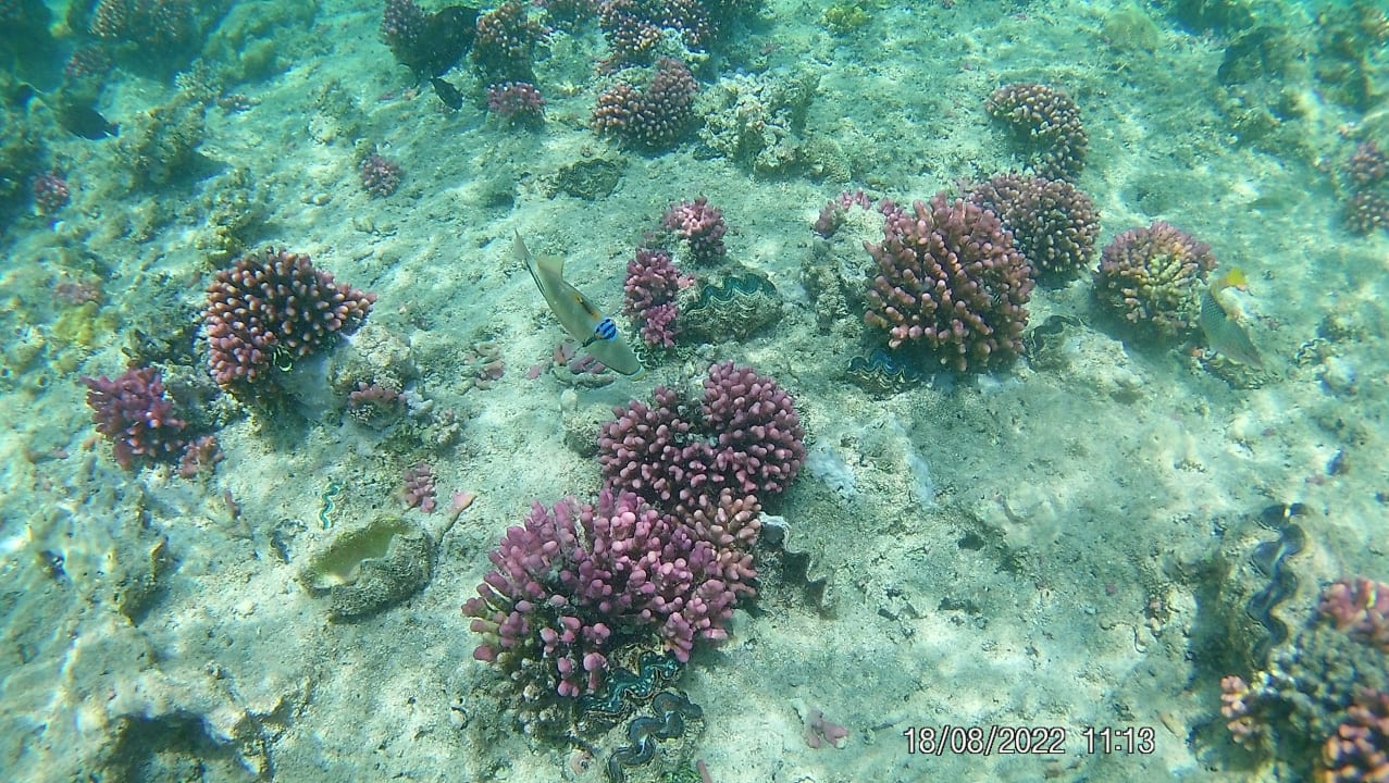 Sport & Freizeit Utopia Beach Club