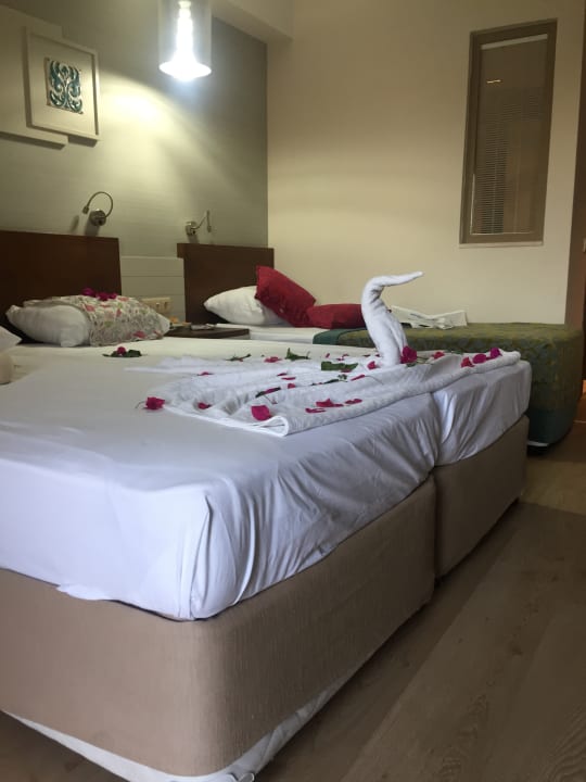 Zimmer Seher Sun Palace Resort & Spa