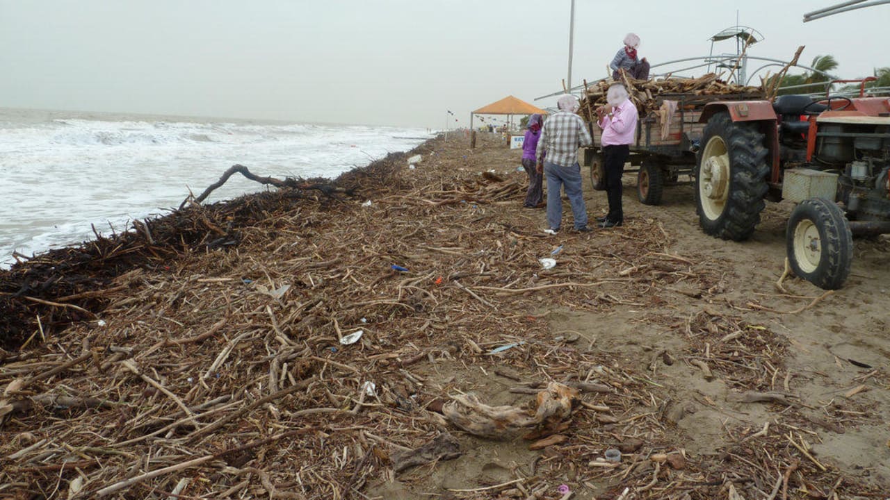 Holz holen für den Winter Belek Beach Resort Hotel