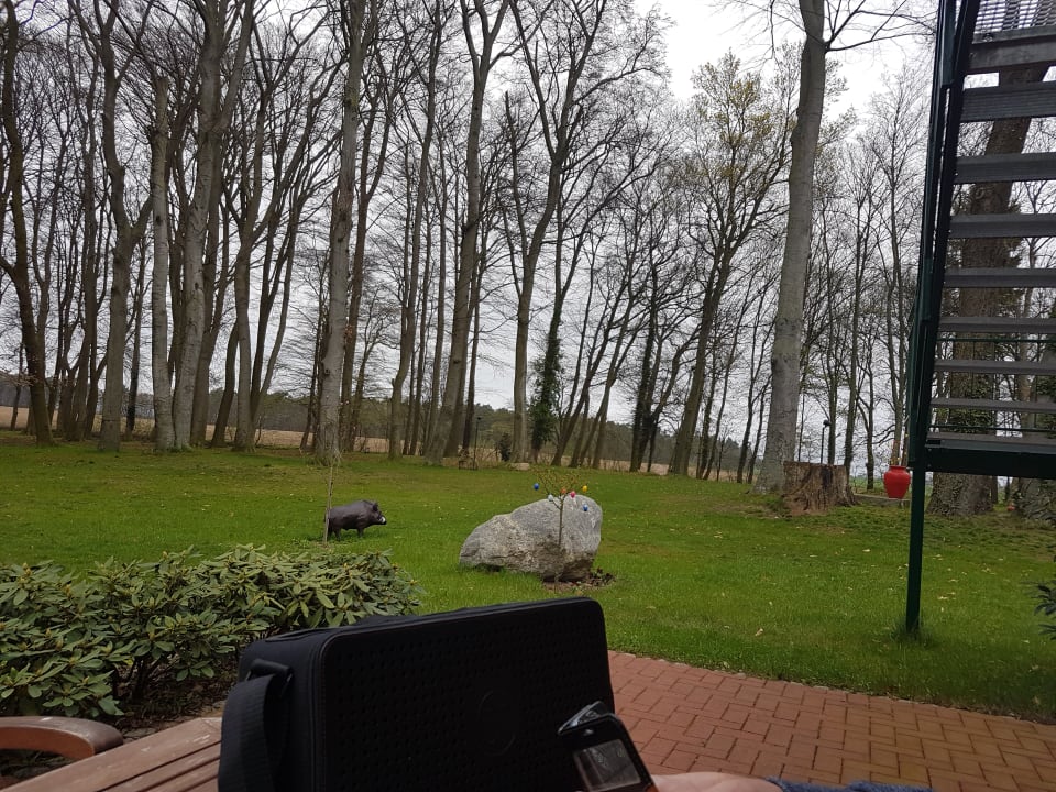 Zimmer Hotel garni Landhausperle an der Müritz