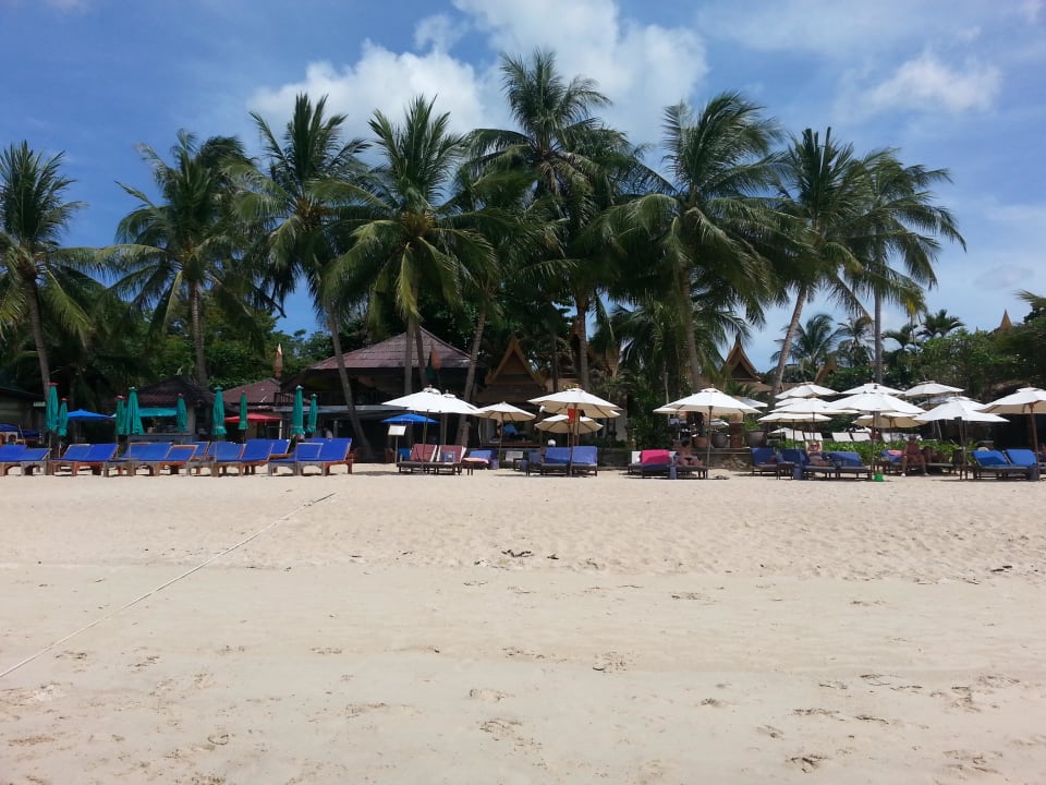 Beach mit Liegen Thai House Beach Resort
