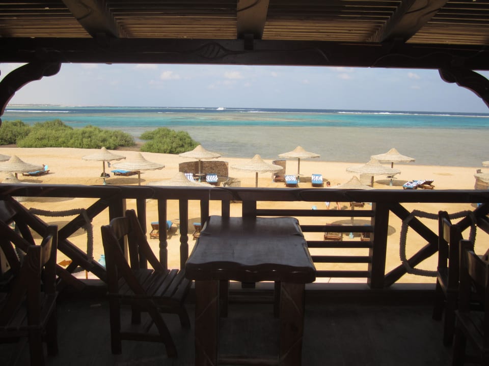 Ausblick Mangrove Restaurant Swisstouch Oriental Resort Marsa Alam