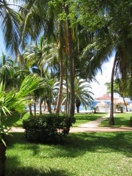 Weg zum Hochzeitspavillion Sunscape Curaçao Resort, Spa & Casino