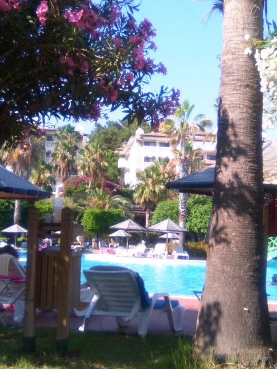 Pool Hotel Defne Star