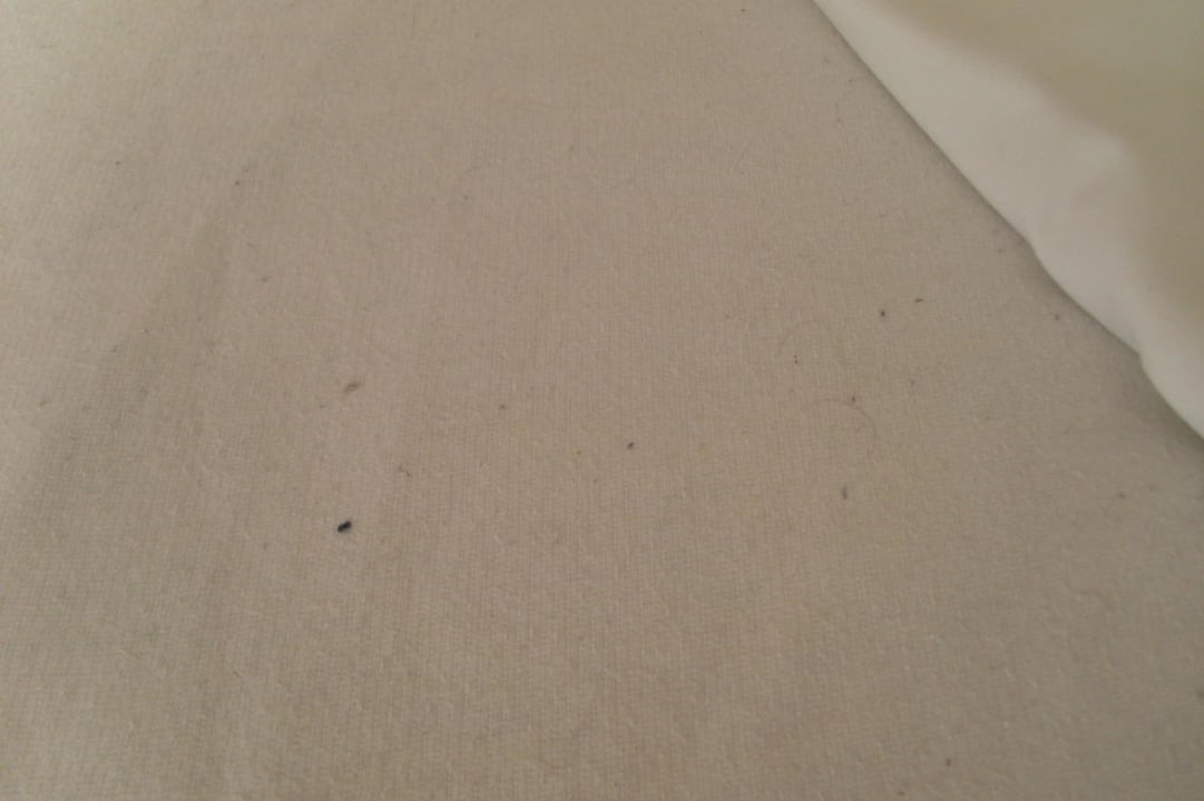 Unterbett Hotel Djerba Resort