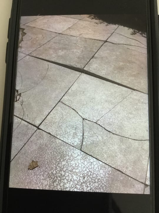 Gartenanlage Ghazala Gardens