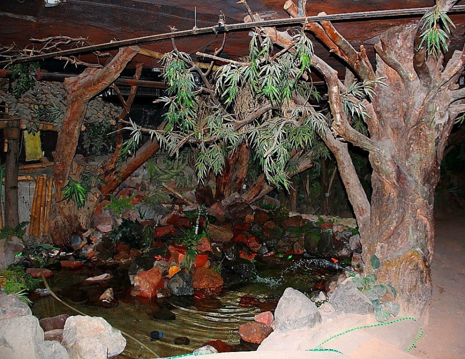 74 Pickalbatros Golf Beach Resort