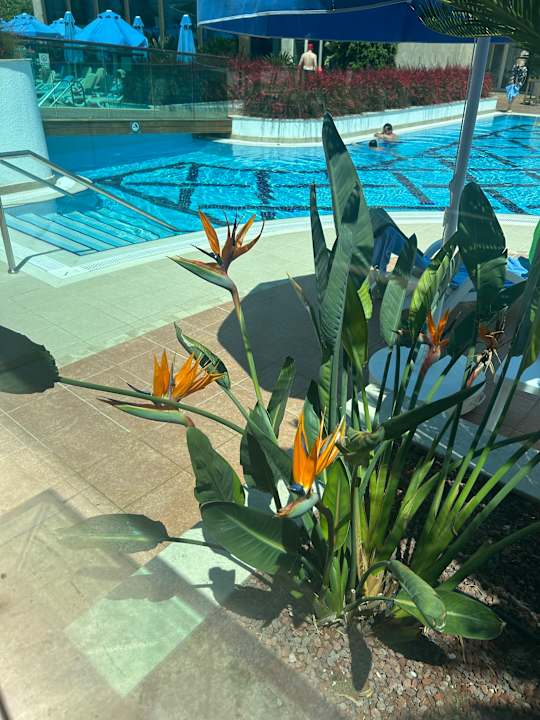 Pool Sentido Trendy Verbena Beach