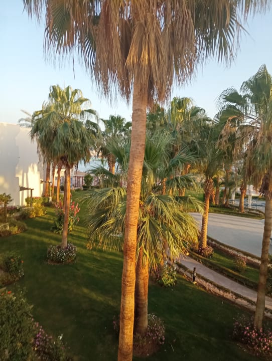 Ausblick Amarina Abu Soma Resort & Aquapark