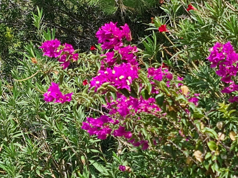 Sonstiges İncekum West Hotel