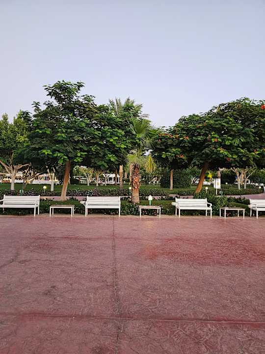 Sport & Freizeit Desert Rose