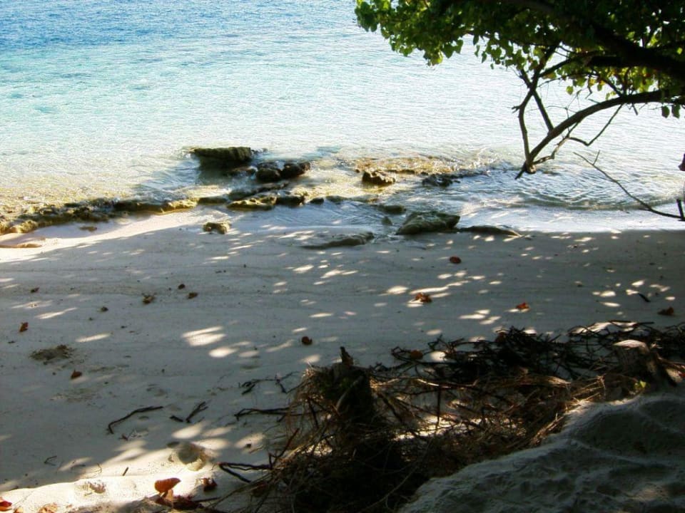 141 Strand nach rechts fotografiert. Vilamendhoo Island Resort & Spa