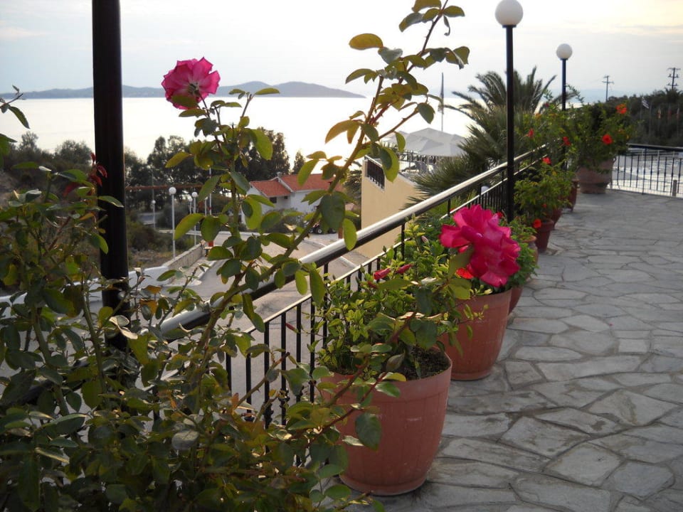 Blumen Akrathos Beach Hotel