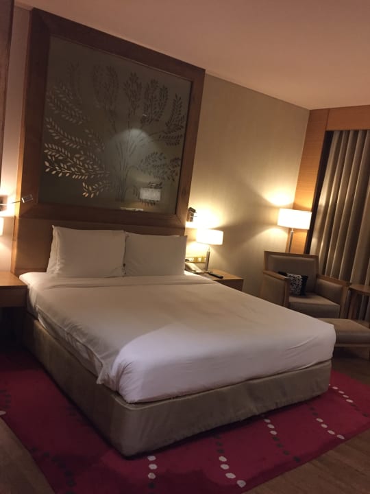 Zimmer Radisson Blu Hotel New Delhi Dwarka