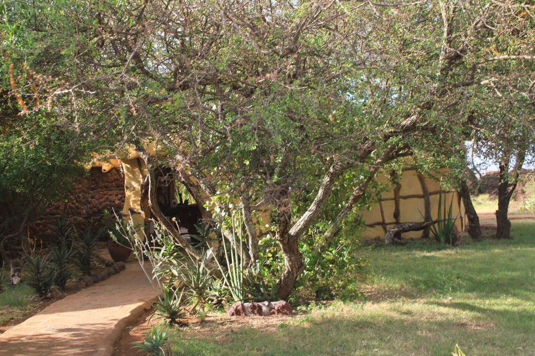 Rezeption Satao Elerai Camp