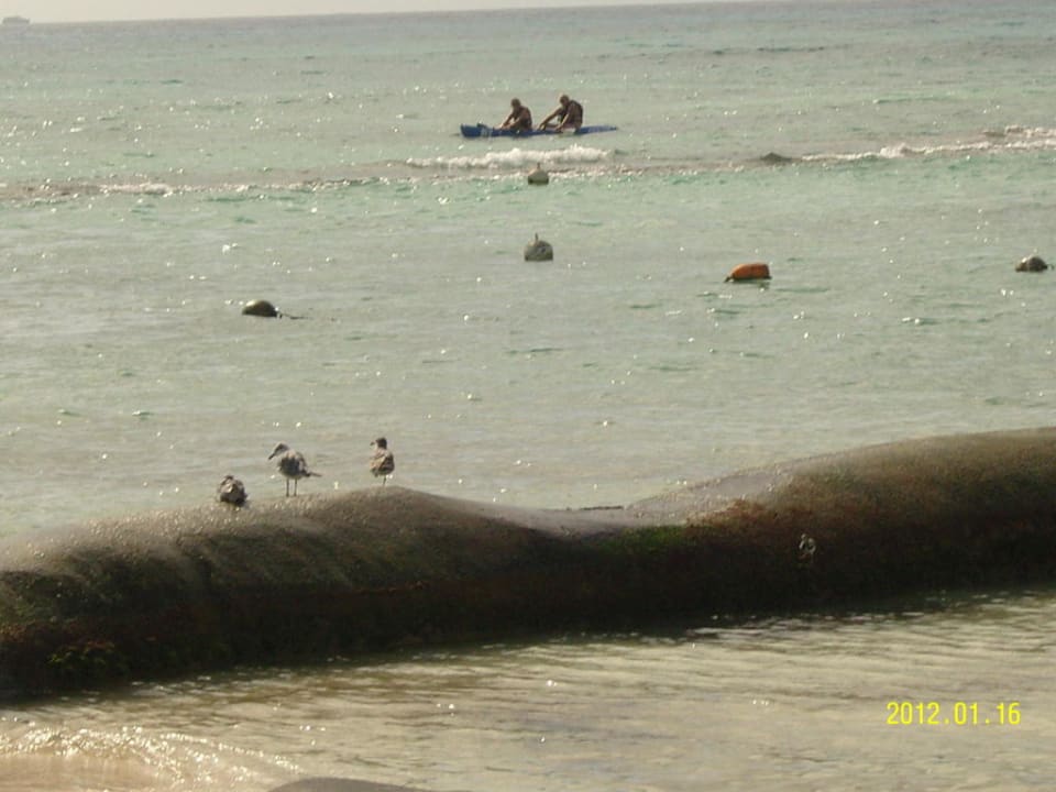 Per entrare in mare Sandos Caracol Eco Resort