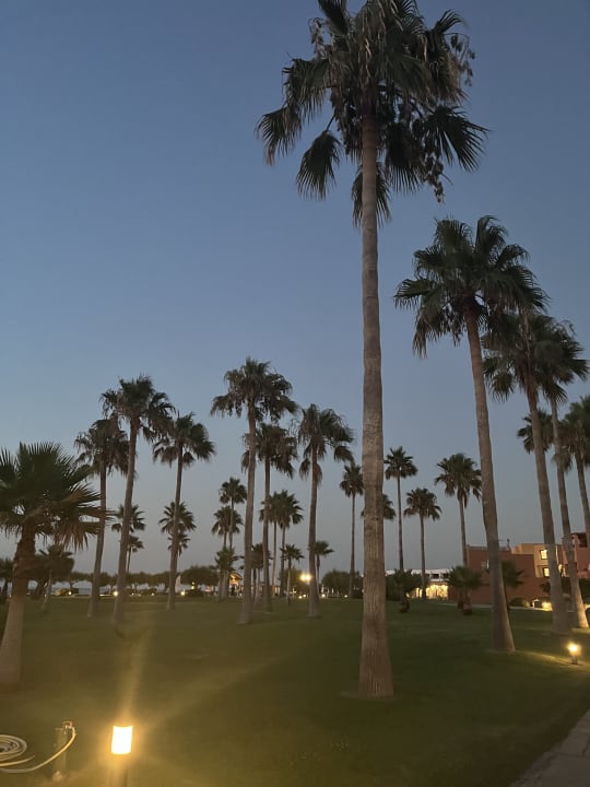 Gartenanlage Calimera Sirens Beach