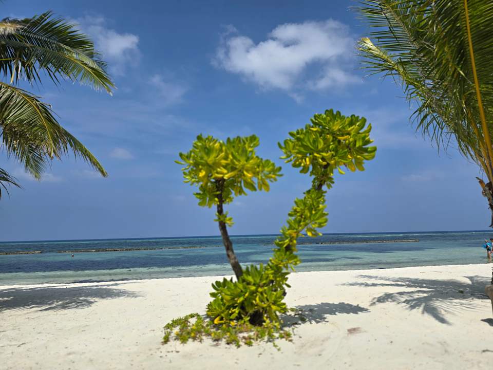 Außenansicht Kuredu Island Resort & Spa