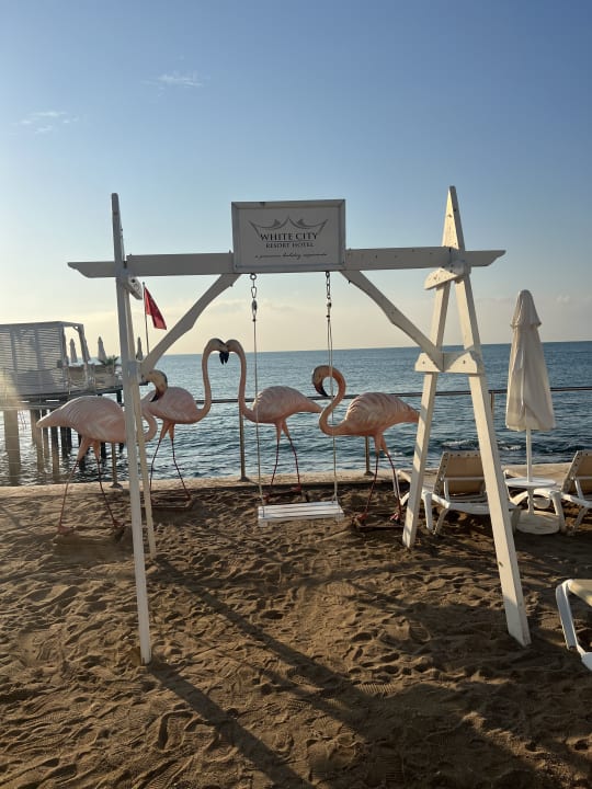 Strand White City Resort Hotel