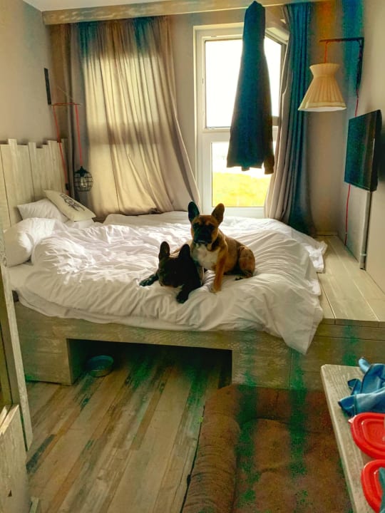 Zimmer Bretterbude Heiligenhafen