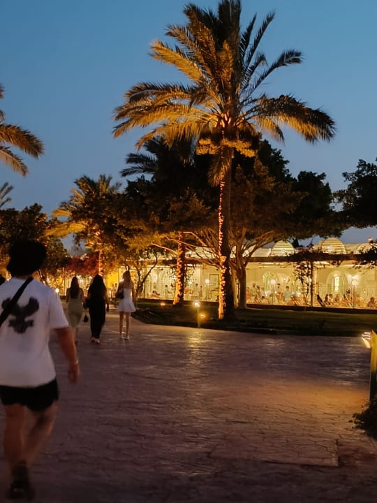 Gartenanlage Desert Rose