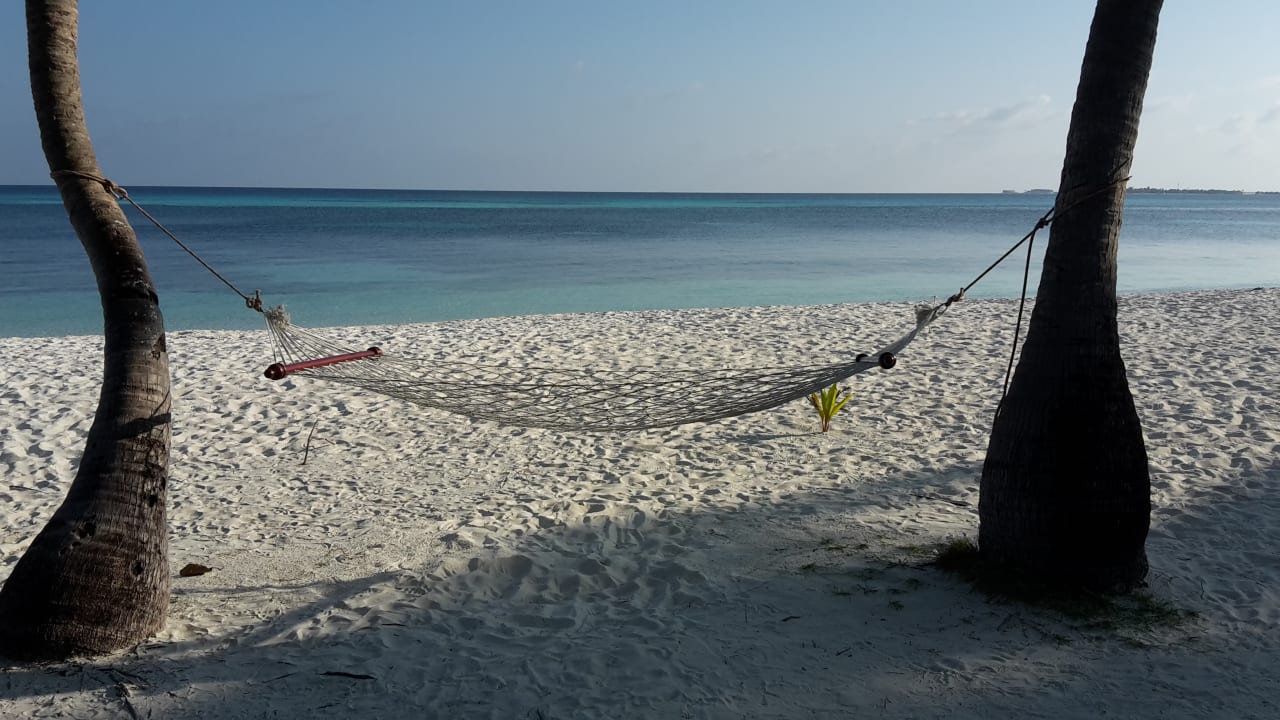 (Fast) der Blick aus der Villa Kuredu Island Resort & Spa