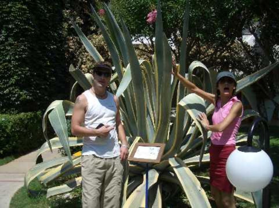 Woah Labranda Alantur Resort