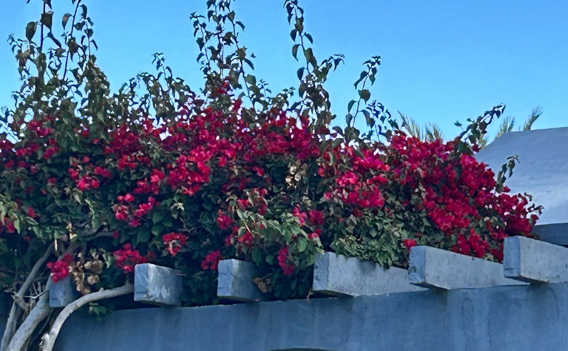 Gartenanlage R2 Romantic Fantasia Suites - Adults only