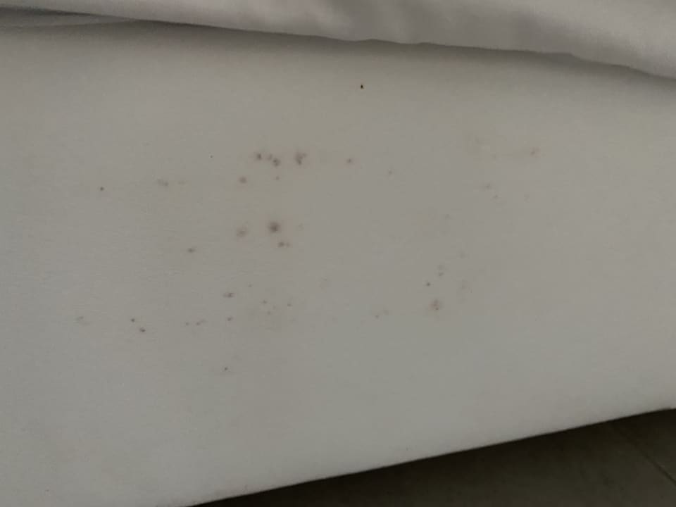 Zimmer Atlantica Marmari Beach