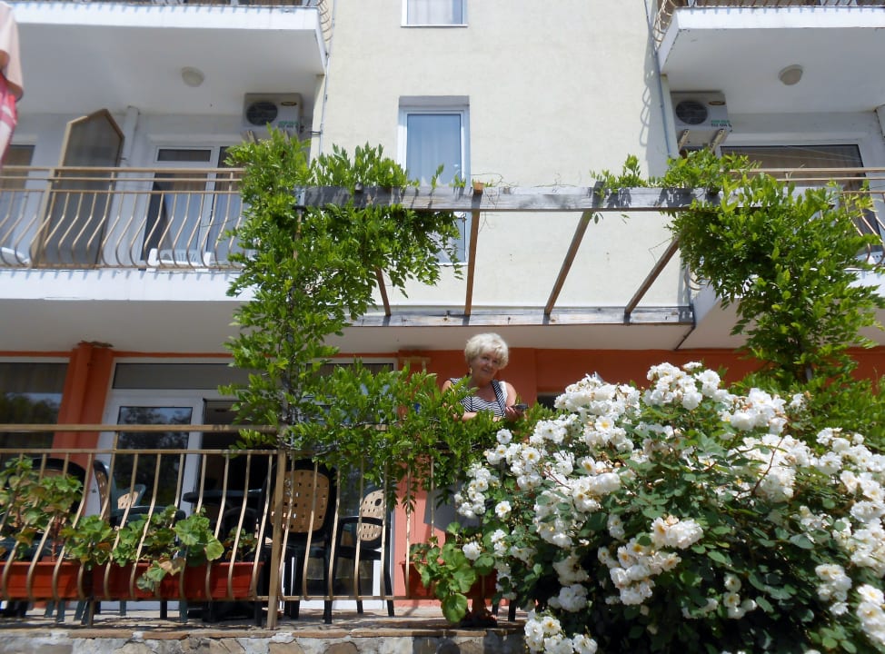 TARAS HOTELOWY Hotel Zlaten Rog/ Golden Horn