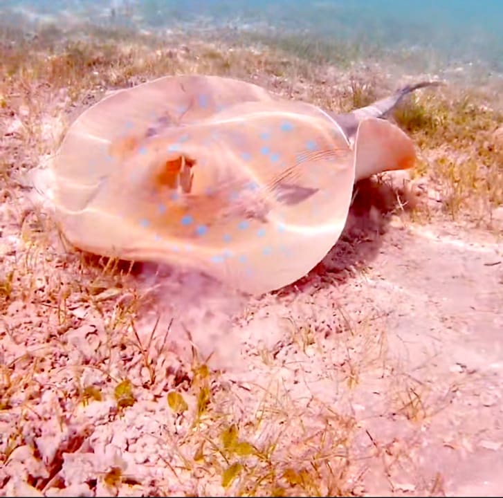 Sport & Freizeit Cleopatra Luxury Resort Makadi Bay