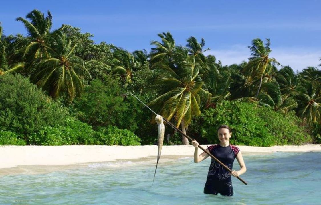 Wycieczki/bezludna wyspa  Guesthouse Dacha Maldives