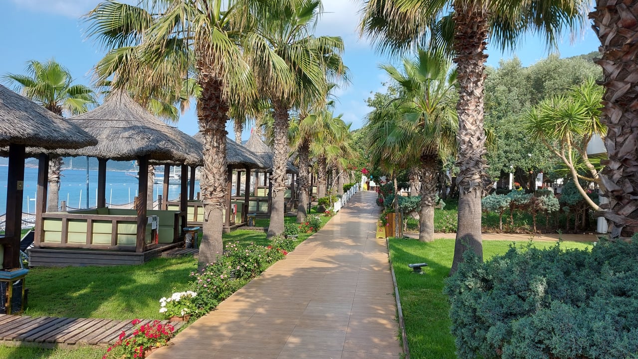 Außenansicht Latanya Park Resort