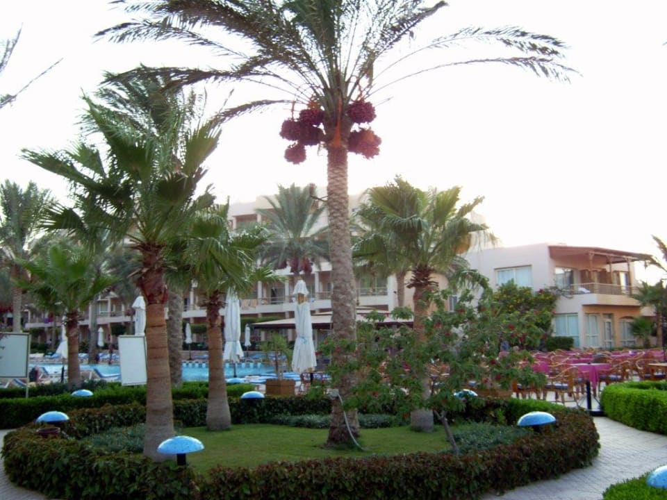 Pool mit Poolbar und Garten Sea Star Beau Rivage