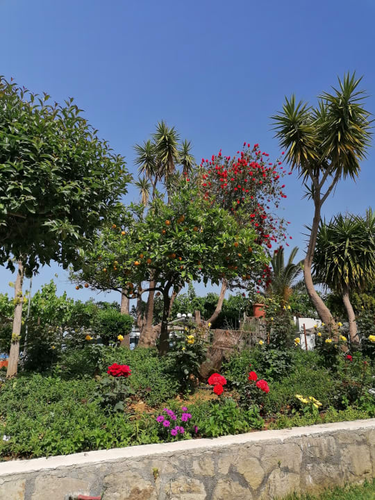 Pool Harmony Boutique Resort