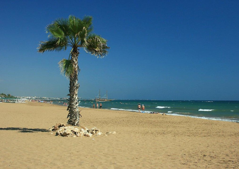 Palme am Strand Hotel Süral Resort